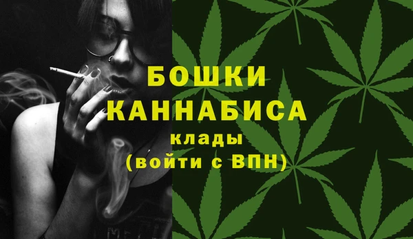 МДПВ Елабуга