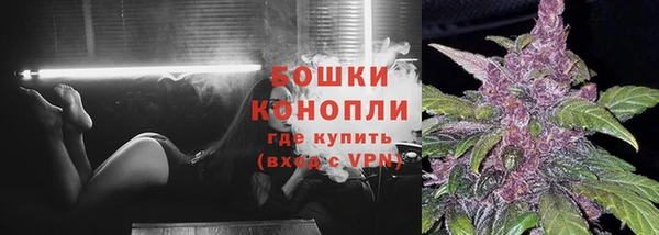 МДПВ Елабуга