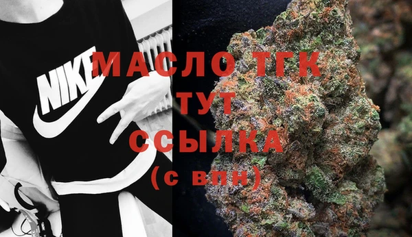 МДПВ Елабуга