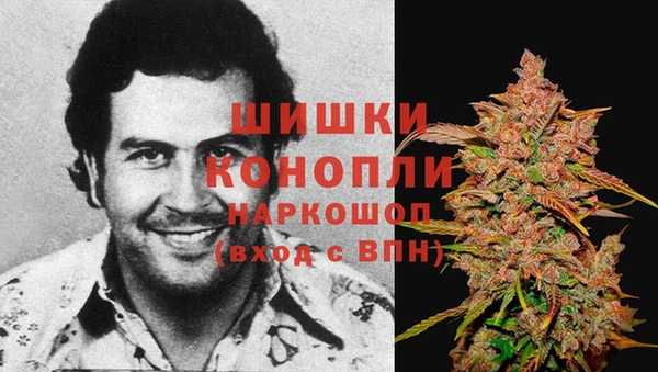 МДПВ Елабуга